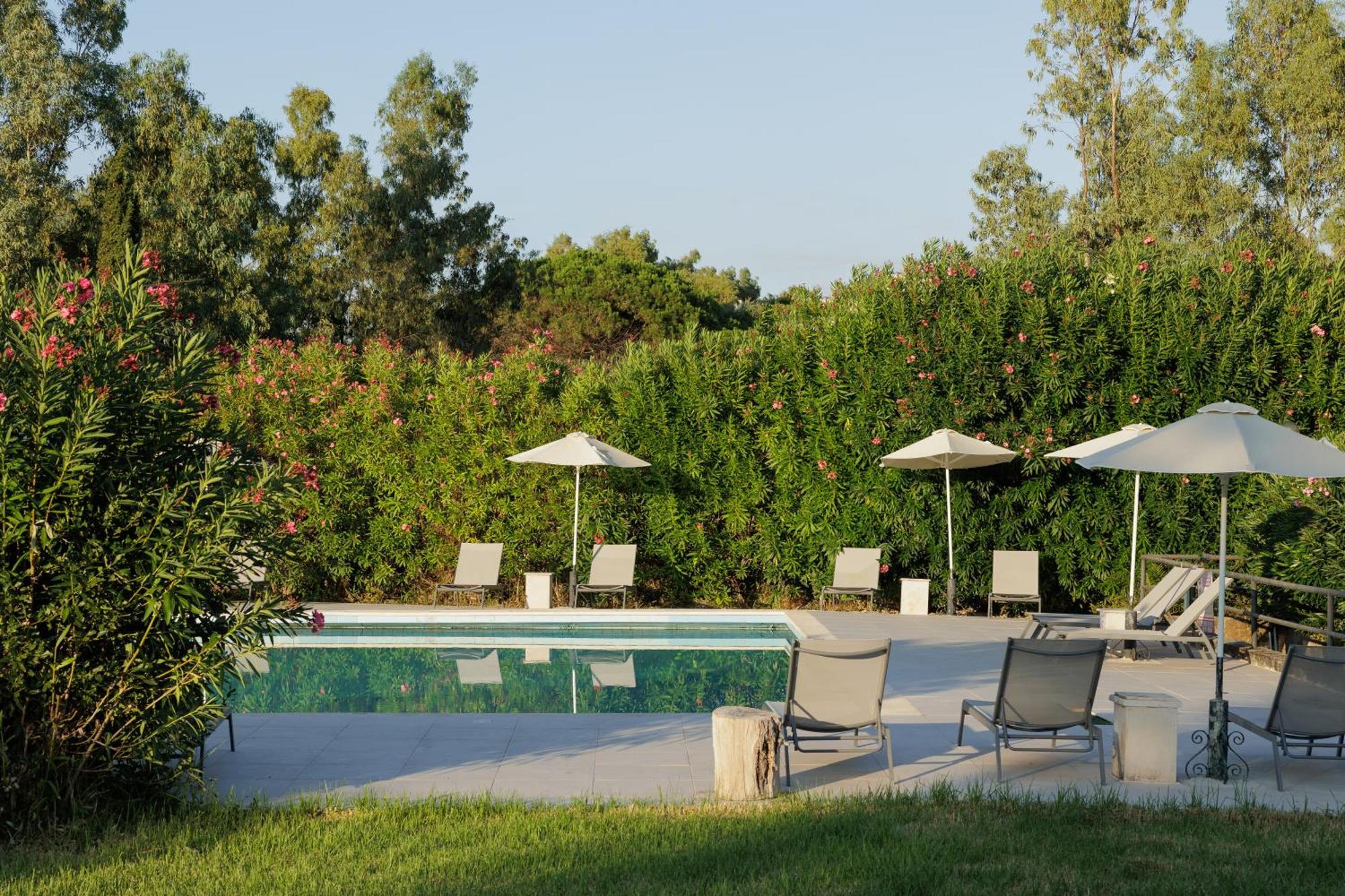 Nafsika Hotel - Adults Only Dassiá Exteriér fotografie